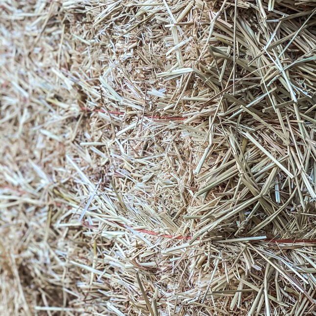 Wheat Straw Image